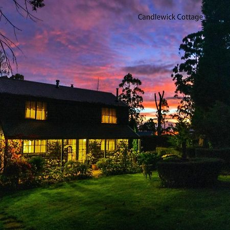Observatory Cottages Mount Dandenong Luaran gambar