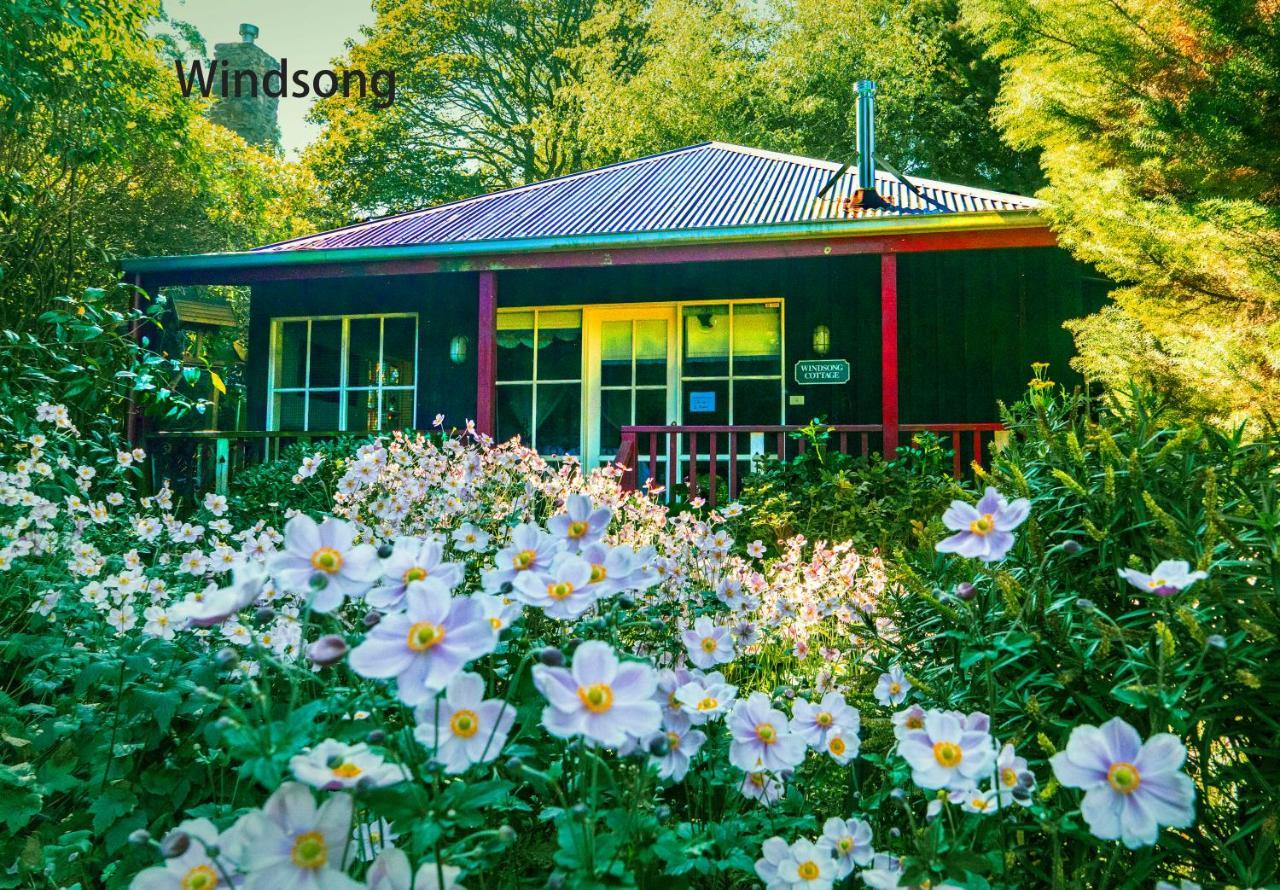 Observatory Cottages Mount Dandenong Luaran gambar