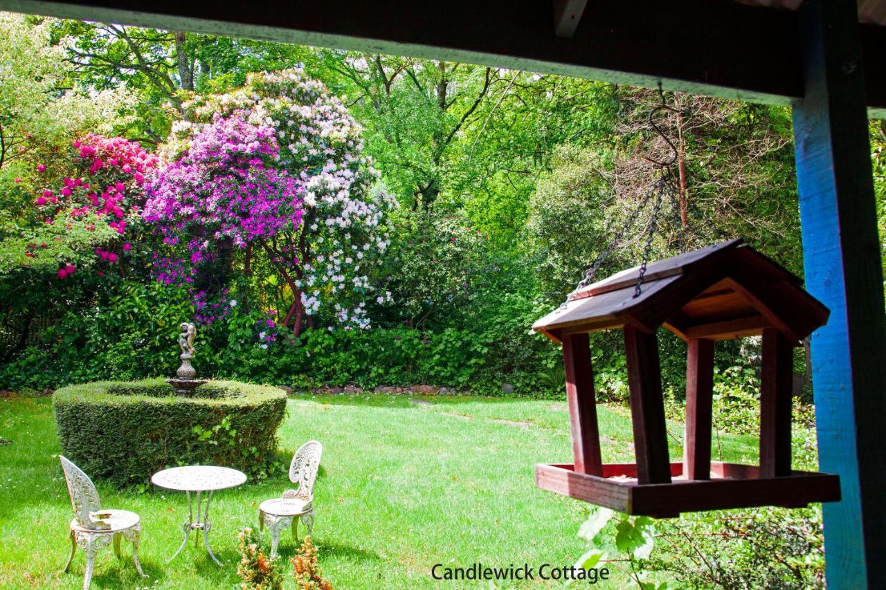 Observatory Cottages Mount Dandenong Luaran gambar