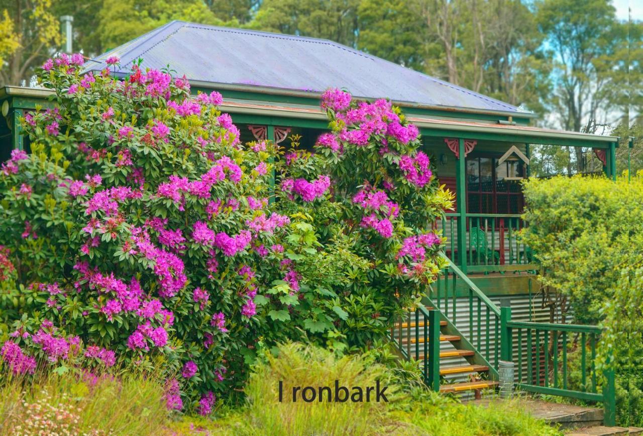 Observatory Cottages Mount Dandenong Luaran gambar