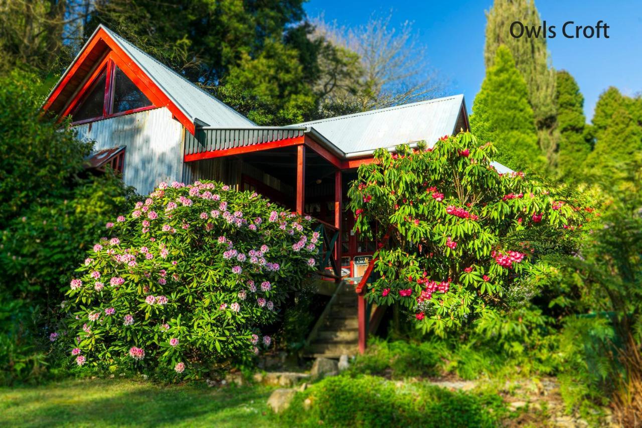 Observatory Cottages Mount Dandenong Luaran gambar