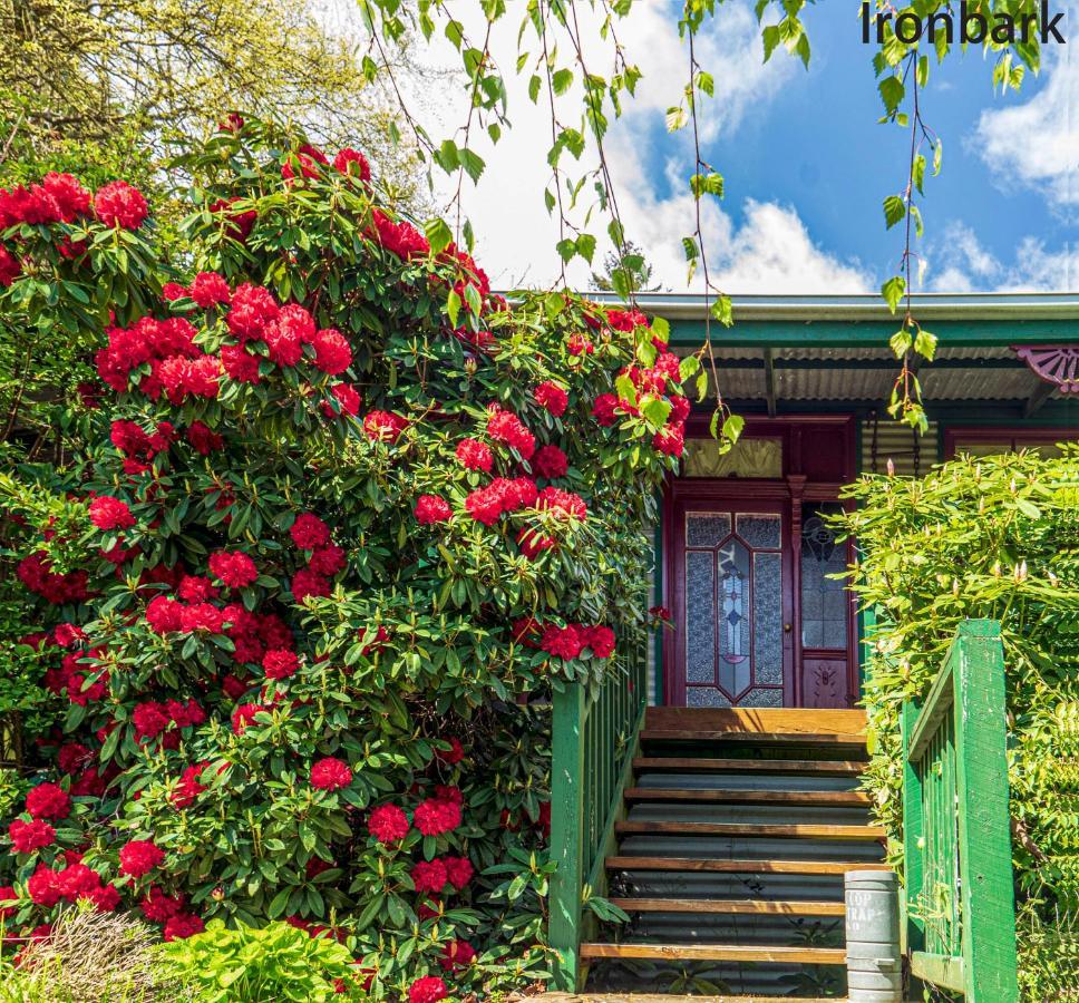 Observatory Cottages Mount Dandenong Luaran gambar