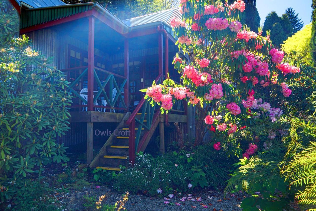 Observatory Cottages Mount Dandenong Luaran gambar