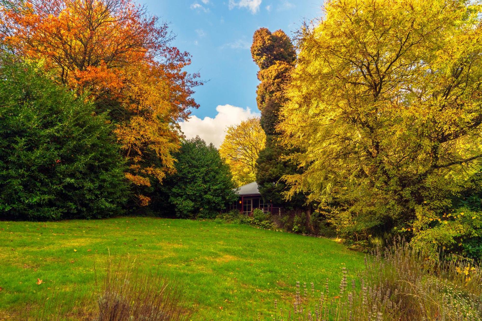 Observatory Cottages Mount Dandenong Bilik gambar