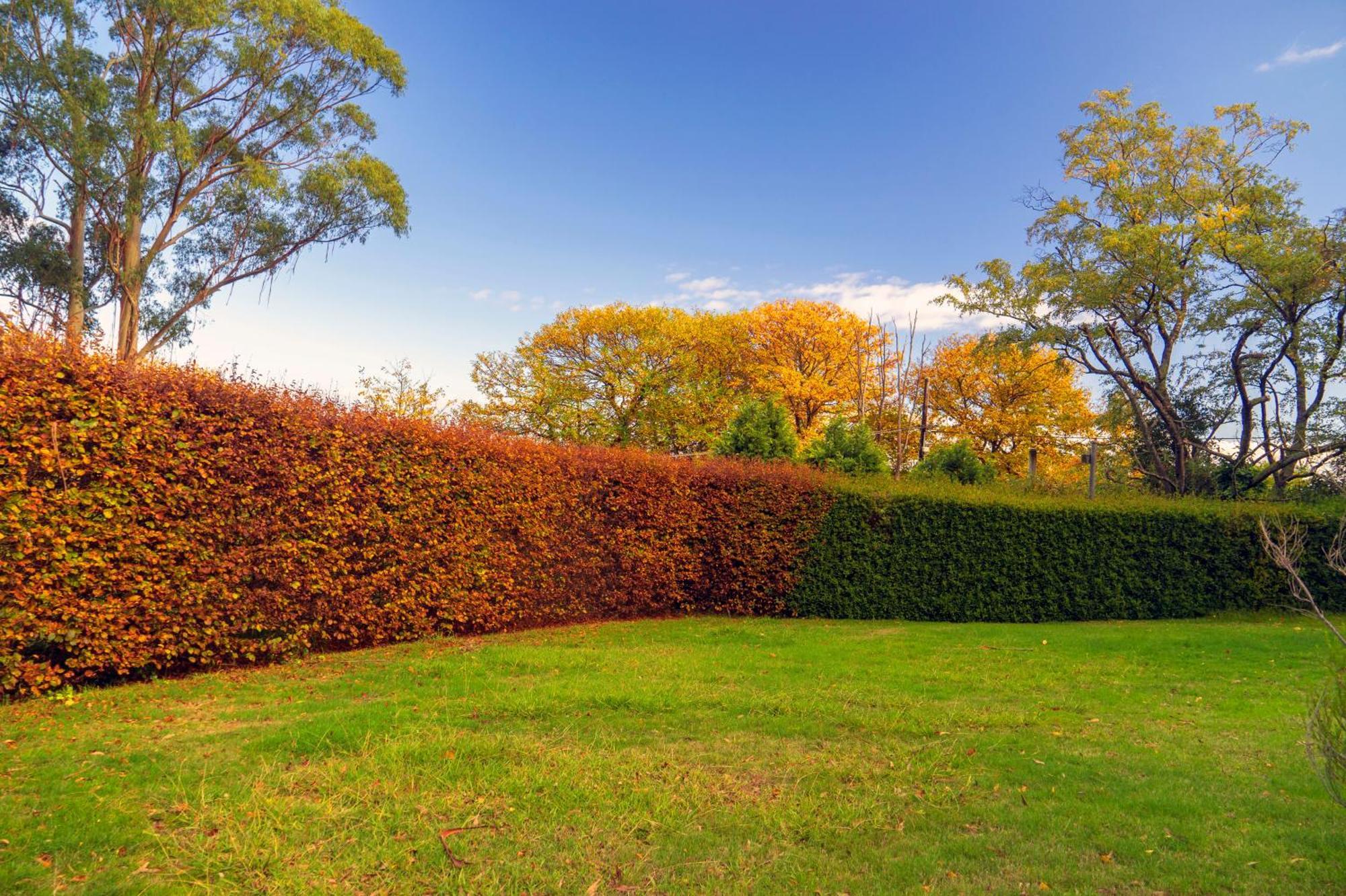 Observatory Cottages Mount Dandenong Luaran gambar